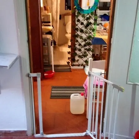 Maddy Apartman